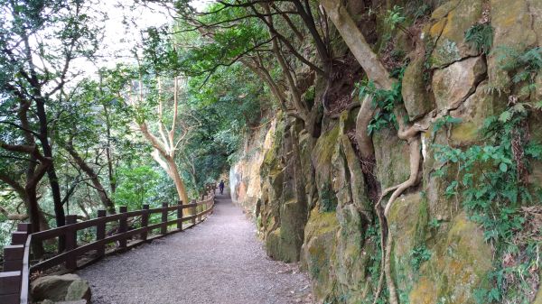 天母古道+紗帽山+七星山+夢幻湖縱走268682