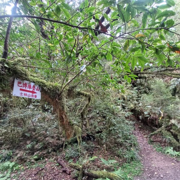 塔魔巴魔塔2698667