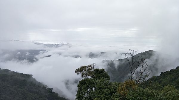 橫白縱走 - 台中 和平 2017 11 12204306