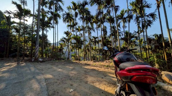 大橫屏山步道2977364