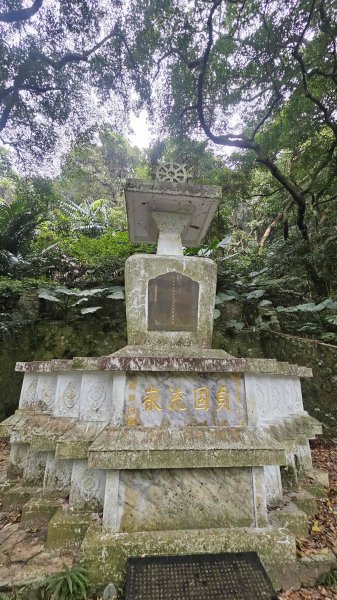 20260220大慈寺參拜道-四十基石-中正山-中正山東南峰3002834