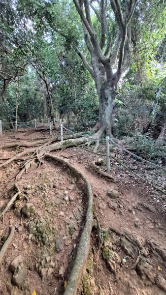 台北大縱走第一段1249088
