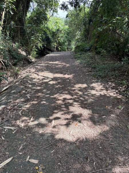 20251018台南 崁馬鞍部啟登崁頭山2920722