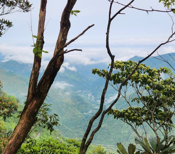 【中級山縱走】魯壁山，東穗山，大島田山，宇老觀景台2771721