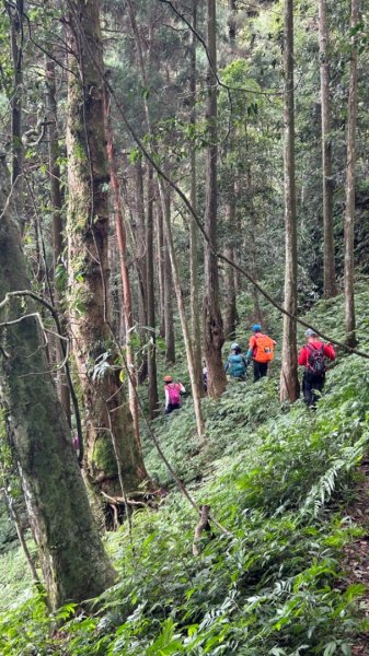 南庄大坪山山麓蓬萊大石壁無名山O型2610524