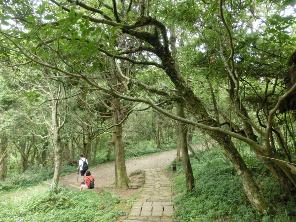 興福寮．向天池．向天山．面天山95206