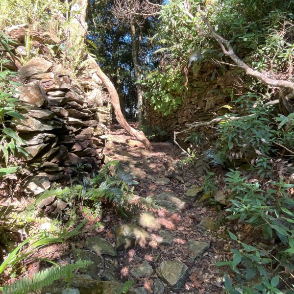 20251116_鳴海山（高雄小百岳）2941560