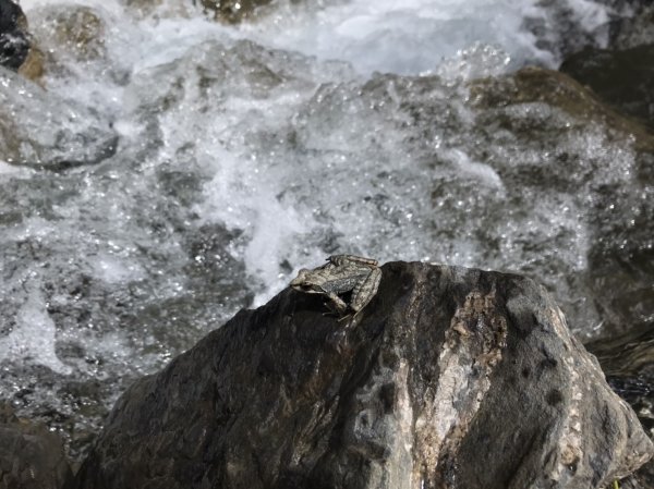 1101025-26屏風山1498079