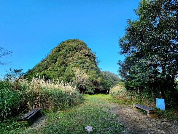 小百岳集起來-獅仔頭山2180882