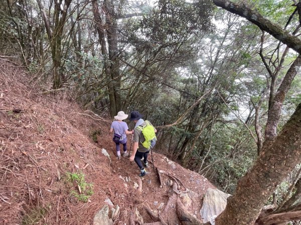 谷關七雄 《 馬崙山 》2025 09/062879781