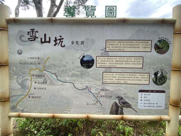 《雪山坑登山步道｜巨人之手森林秘境 Xueshankeng Hiking Trail & Giant2971048