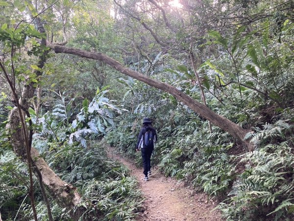 石門山登山步道2396660