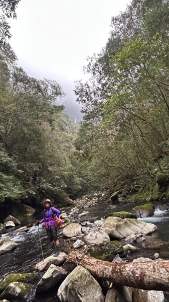 芃芃山西北稜大內台2693957