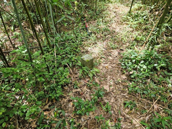 2025-07-12內打林山