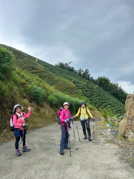 大崙山茶區山頭/民眾坪山 貓冬望山 大崙頭山 樟空倫山3101081