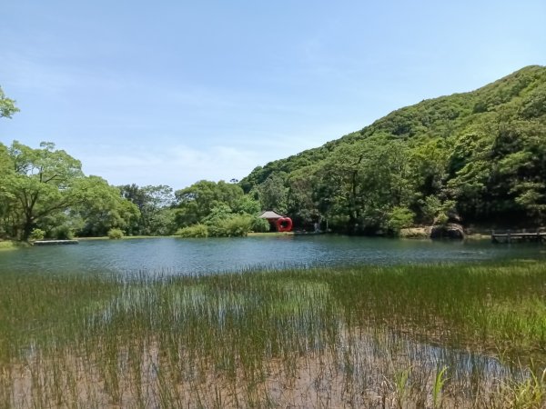 汐止區夢湖秘境桐花夢幻2773482