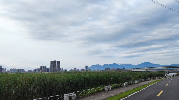 台北大縱走第八段2504039