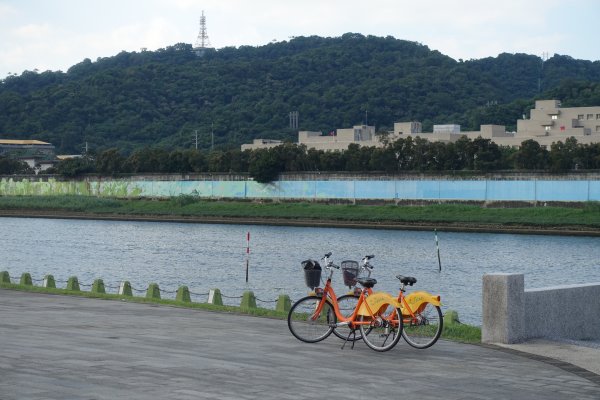 迎風河濱公園．大佳河濱公園1147319