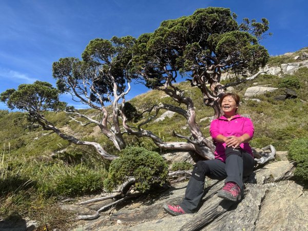 合歡山北峰2908750