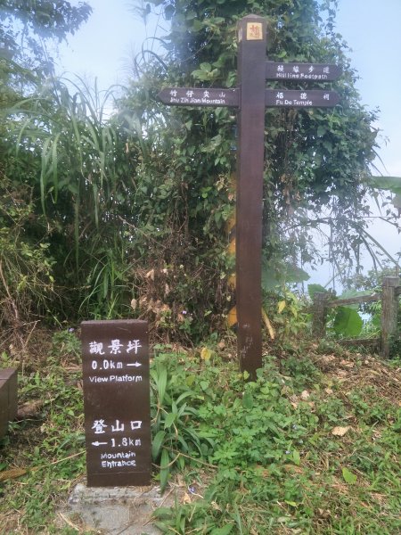 2019 11 14 竹子尖山步道735206