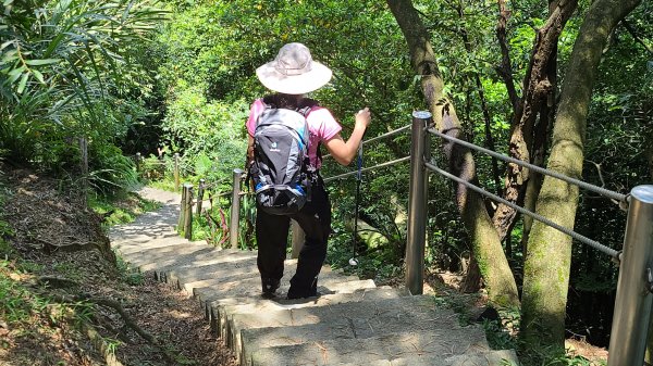 土城天上山火焰山1066686