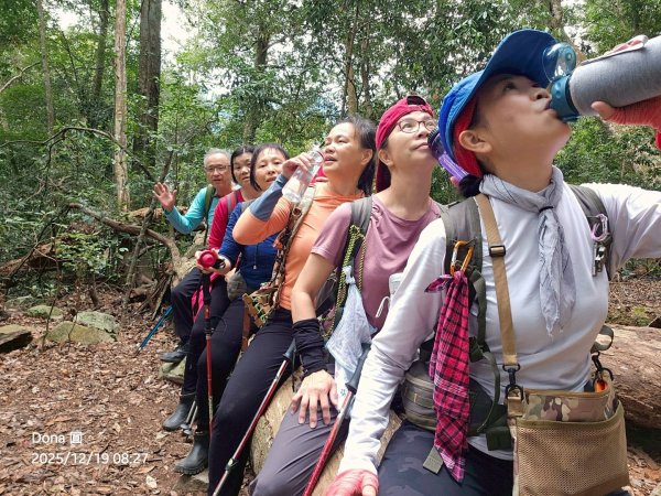 20251219八仙山+佳保台山(谷關三雌)2974427