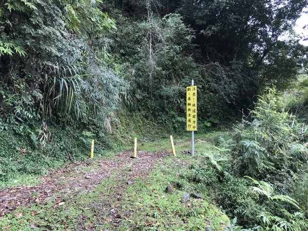 小關山林道走小關山(小關山西稜上，西南稜封面