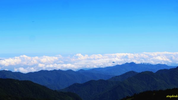 流浪山林的故事~雪山聖稜線644164