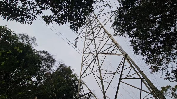 20260127三通嶺山.三義山(大桁茂山).慈濟山.大坪山大O走2989974