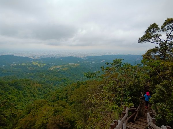 小百岳(41)-頭嵙山(四號步道)-201808151785171