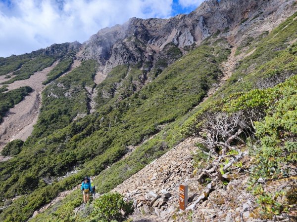 玉山群峰前五峰後四峰2610648
