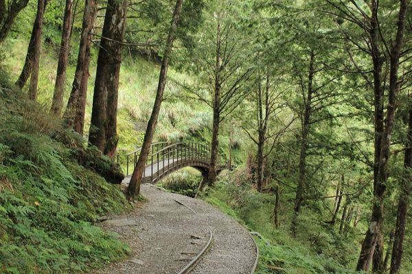 見晴懷古步道封面