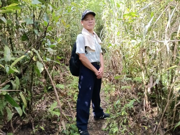 雙溪區威惠廟+下坑山+570峰+大埤格+崩山坑古道O型2814824