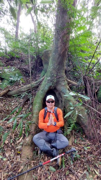 安坑五山縱走2784688