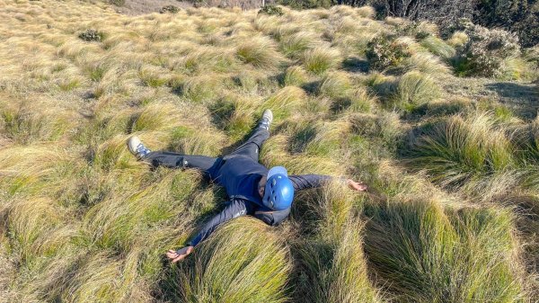 2024四天三夜六順七彩2681498