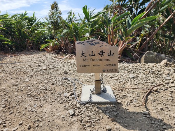小百岳No.81⛰大山母山2776409
