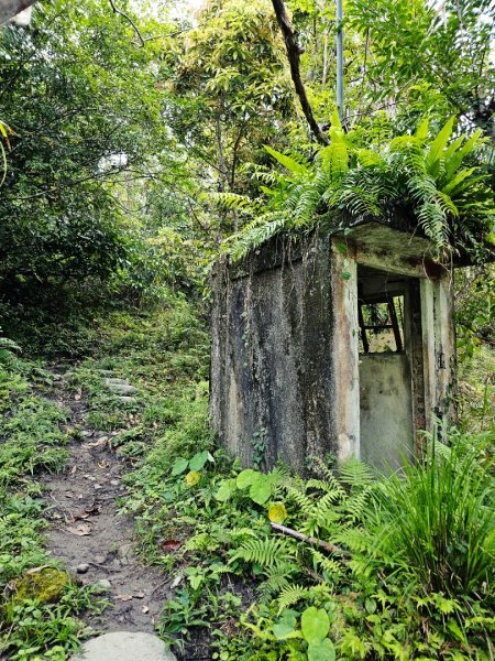 八里灣山-小百岳#91-花蓮縣豐濱鄉3019217