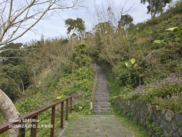 2025-02-27二延平步道2725407