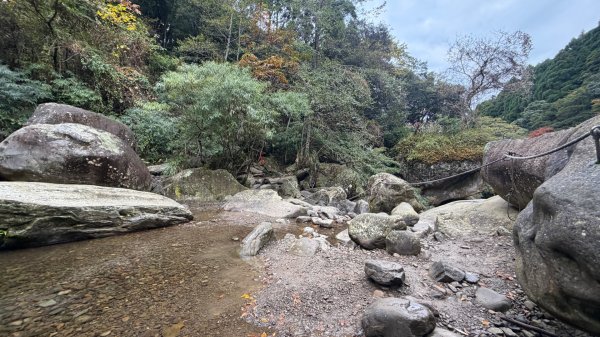 加里山 2025 12/282971684