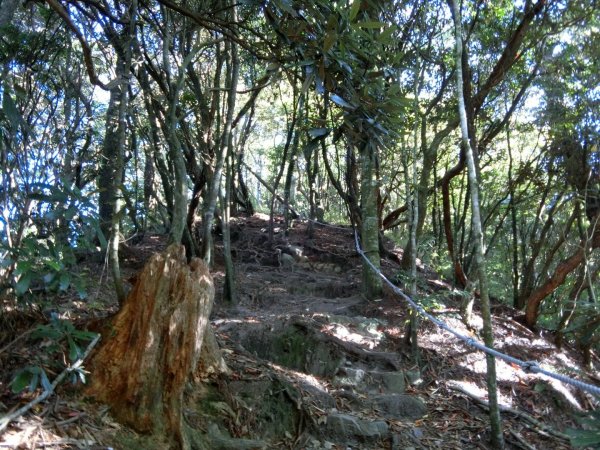 喜愛曬太陽又流汗又刺激又美麗446168