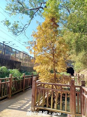 【苗栗】貓貍山公園功維敘隧道2981666