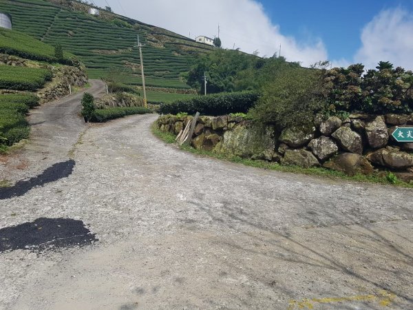 20191027跟著小弟底一口氣衝上大尖三角點1369292