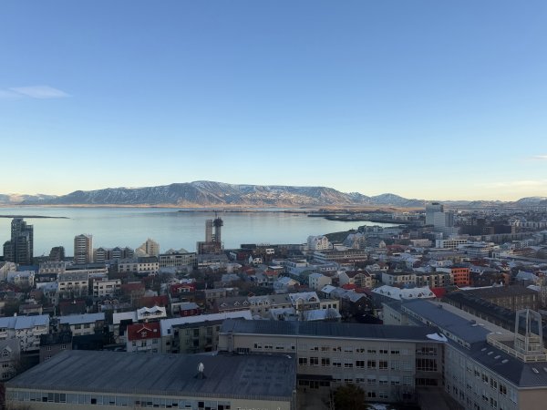 [紐約馬之行-19] 2025_1104 哈爾格林姆教堂登塔2946261