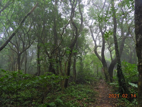 臺北 北投 向天池山、山仔頂古道1269619