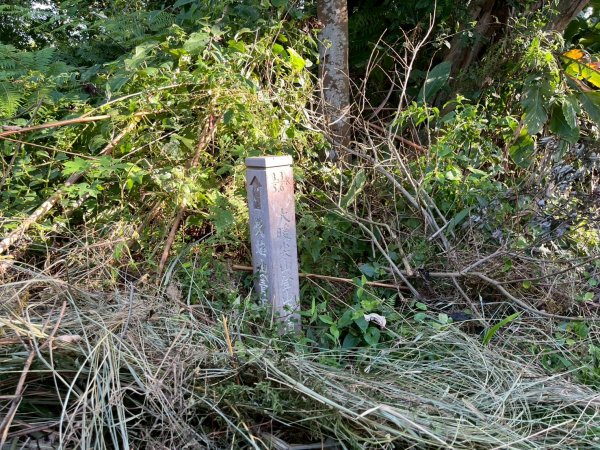 土城頂埔捷運站-大暖尖山-火焰山-承天路-石壁寮溪棧道-永寧捷運站2896428