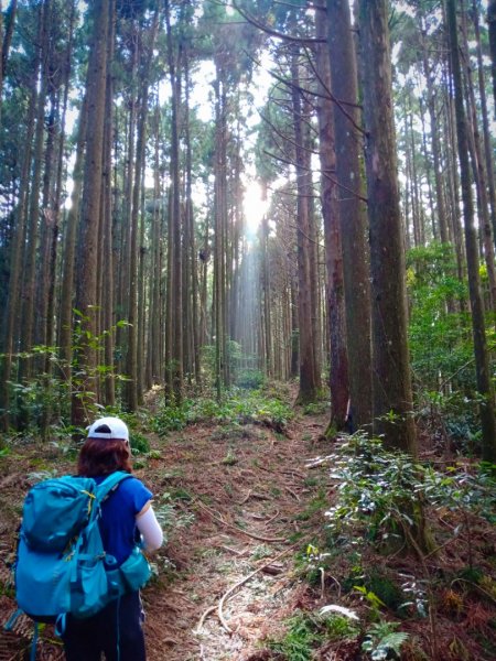 20211016_高島縱走1490486