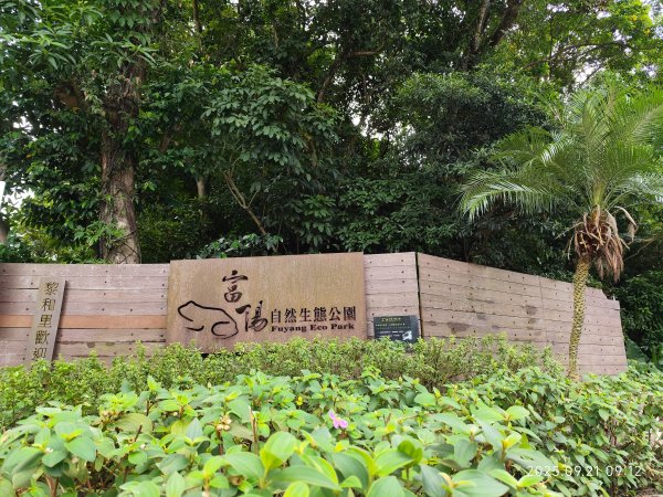 【臺北大縱走 6】富陽公園→福州山公園→中埔山東峰→軍功山→糶米古道→南港山→九五峰→中華科大步道2894731