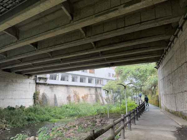 [樟之細路_第一大段RSA01] 2026_0329 清水坑溪景觀3026602