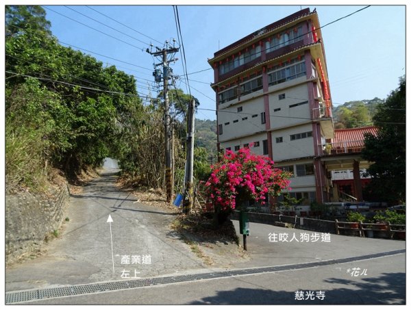 坪林山/台中-太平1283398