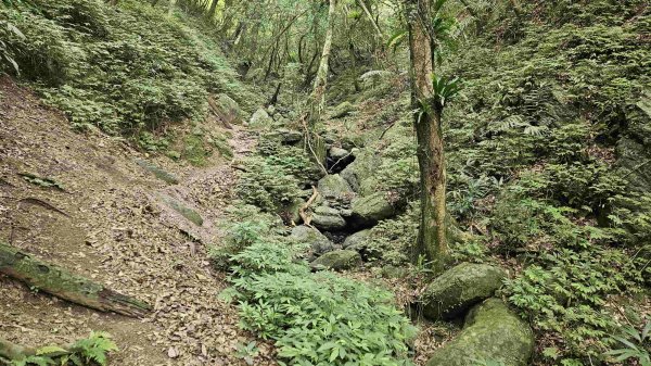 2025050151梗枋山-橋板湖山2774843